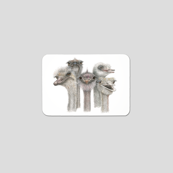 Tootsies the Ostriches - Fridge magnet