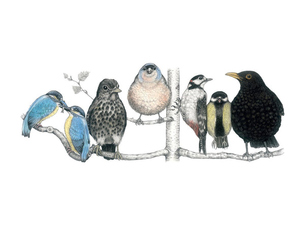 Migratory birds in March-April