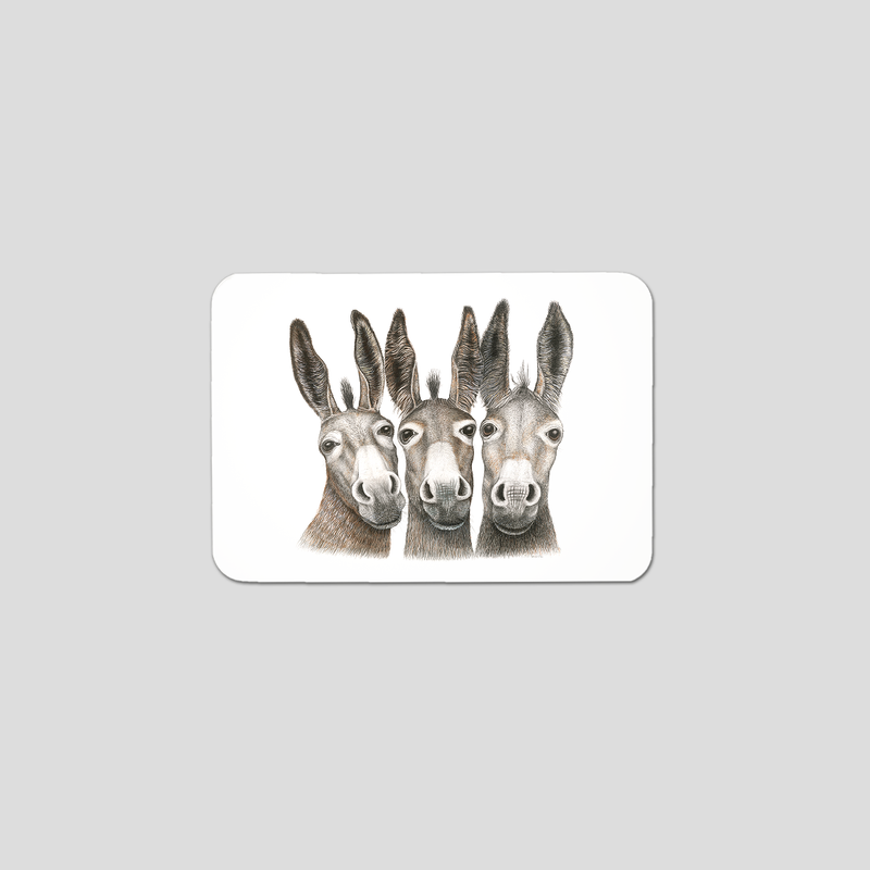 Amigos donkeys- Fridge magnet