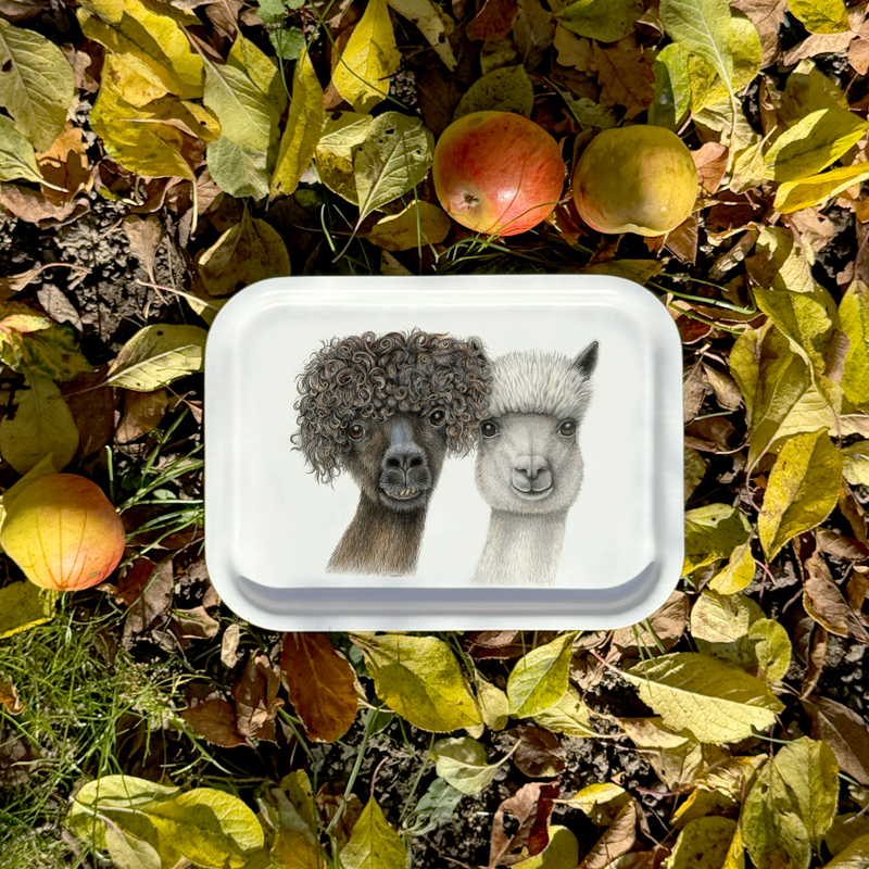 Anderssons - Tray