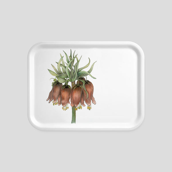 Benjamin- Tray