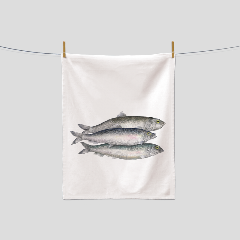 Bill, Bull & Bob - Kitchen Towel