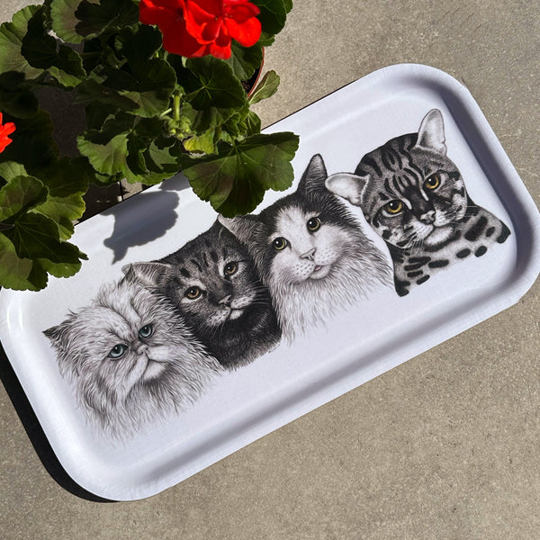 Cats - Long Tray