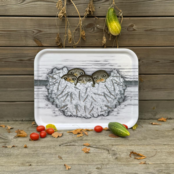 Cocooning- Tray Large