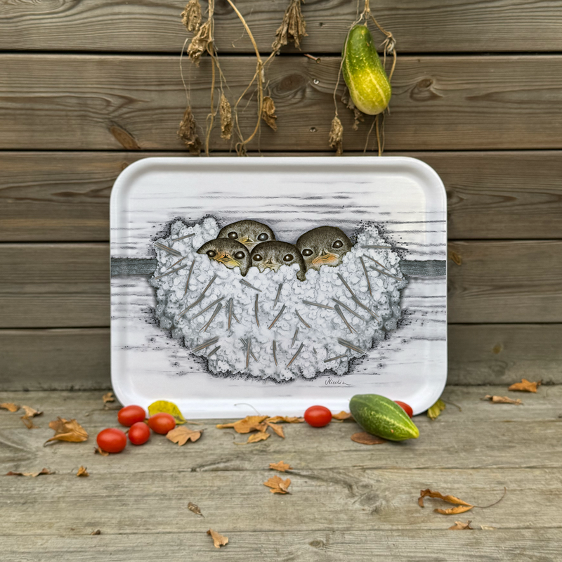 Cocooning- Tray Large