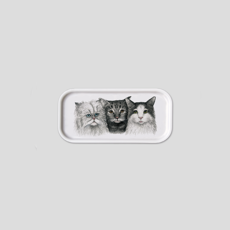 Cats - Cocktail tray