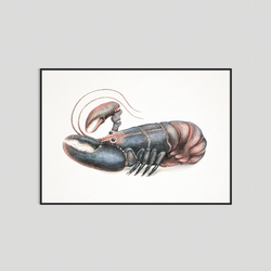 Larry - Fine art print