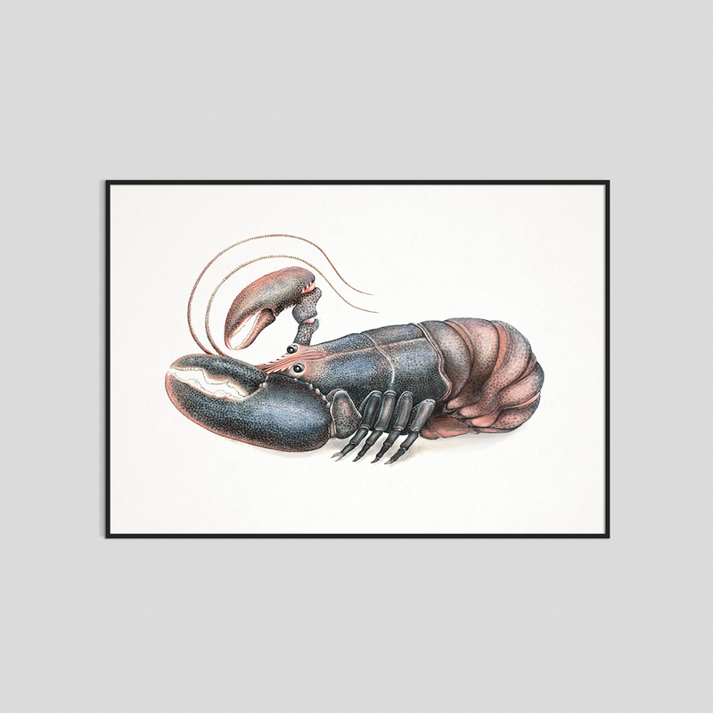 Larry - Fine art print