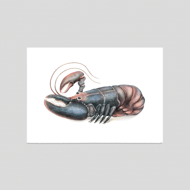 Larry - Fine art print