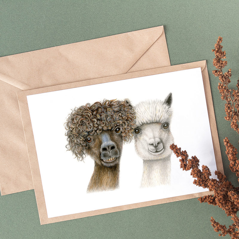 The Anderssons Alpacas - Postcard