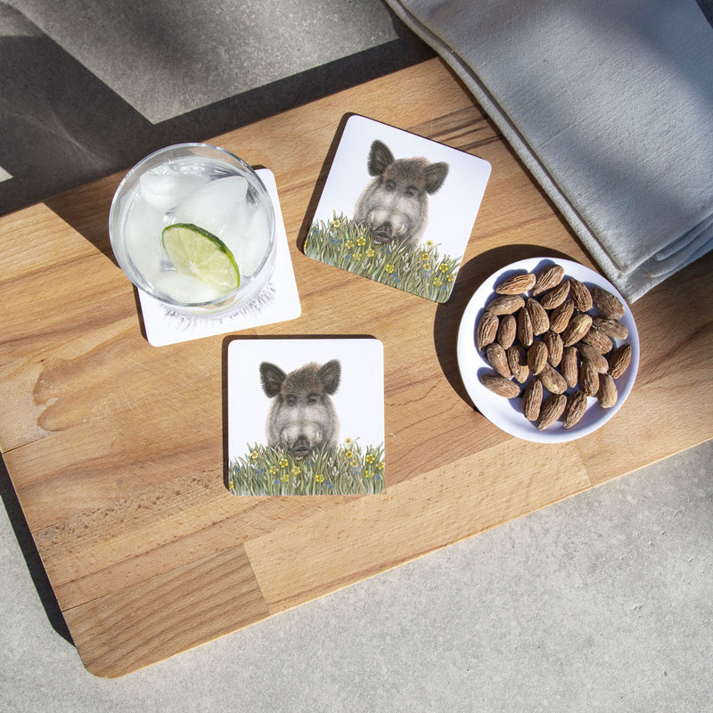 Wolfgang - Coaster