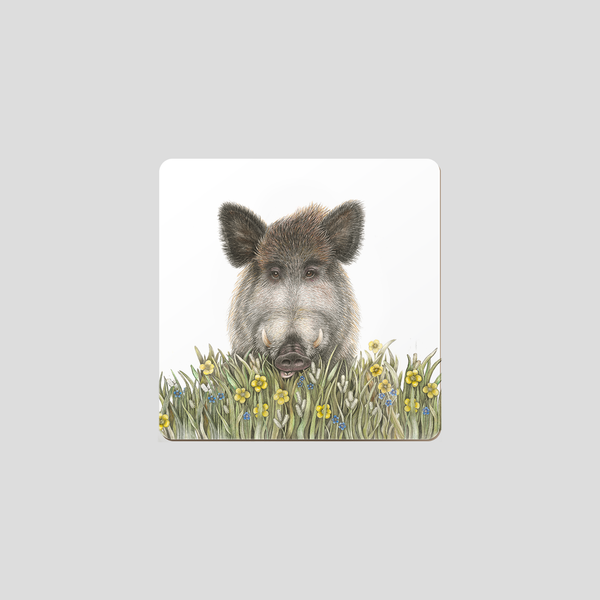 Wolfgang - Coaster