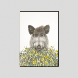 Wolfgang - Fine art print