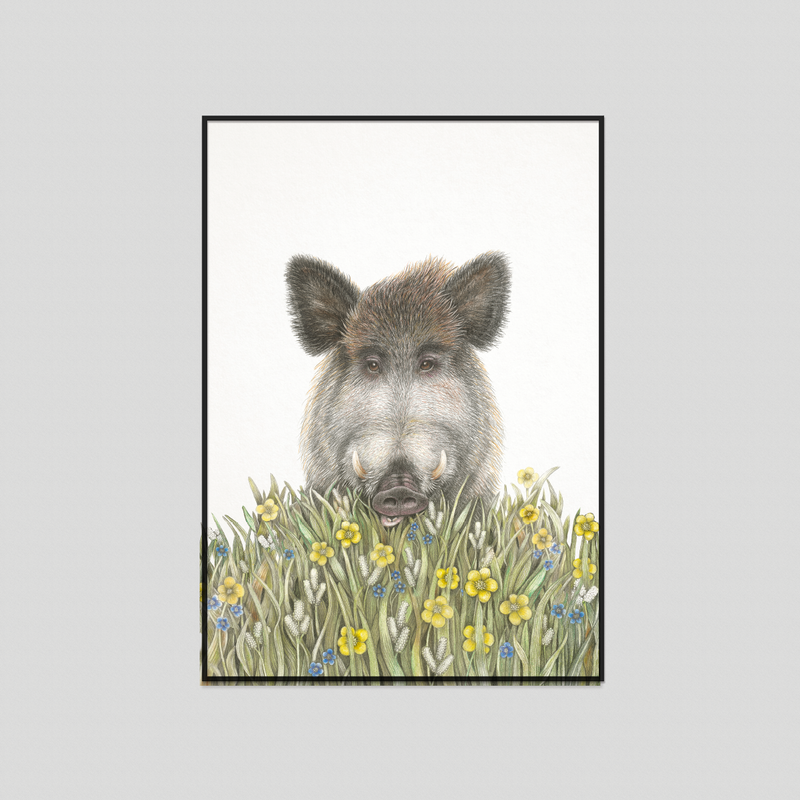 Wolfgang - Fine art print