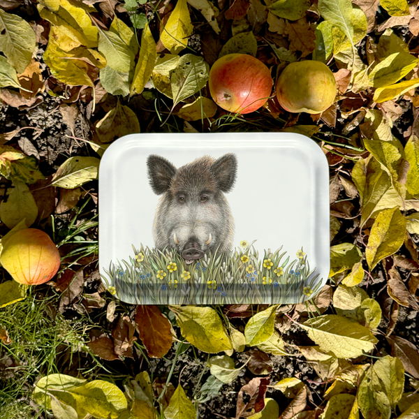 Wolfgang - Tray