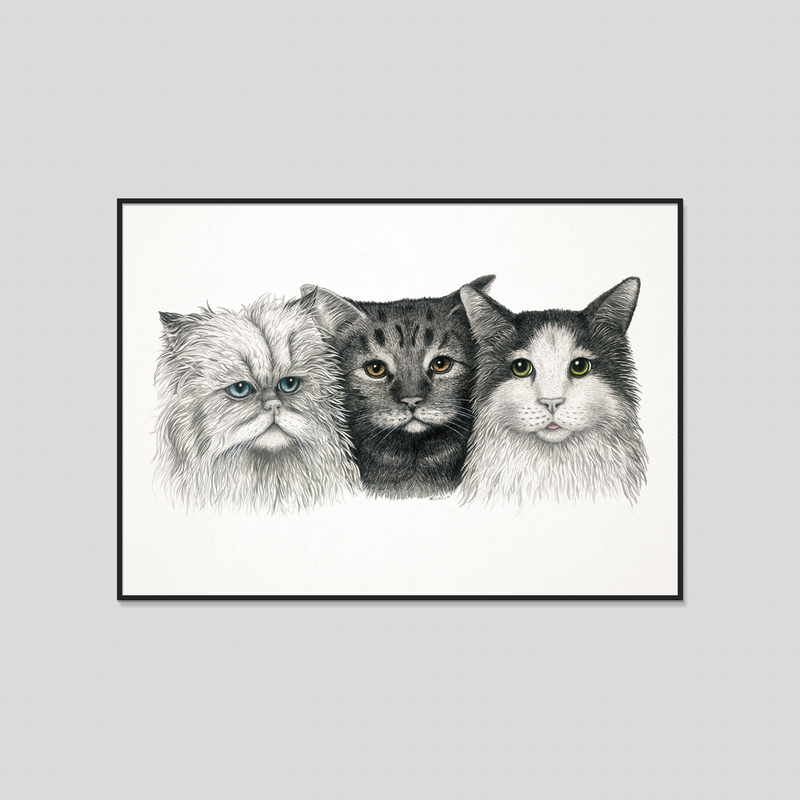 3 cats, art print, poster, katter, chat, chaton, katze