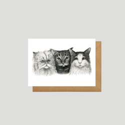 3 Cats - Postcard