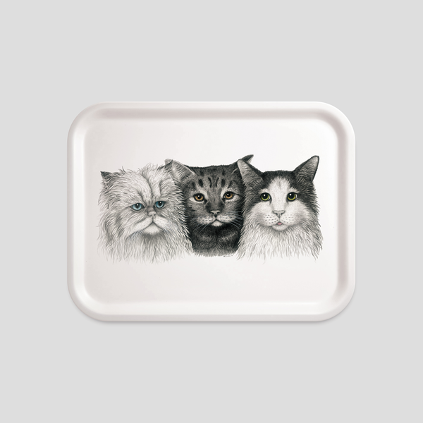 three cats portrait