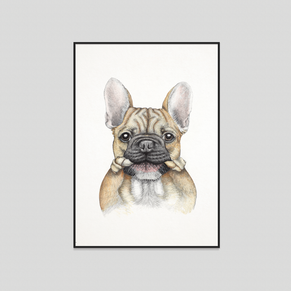 Bruce - Fine art print