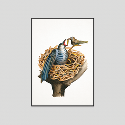 Cuckoo - Fine art print
