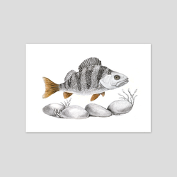 The Scout - Fine art print