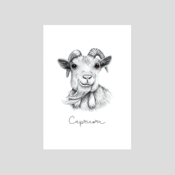 Zodiac sign Capricorn art print from the astrological series by Charlotte Nicolin