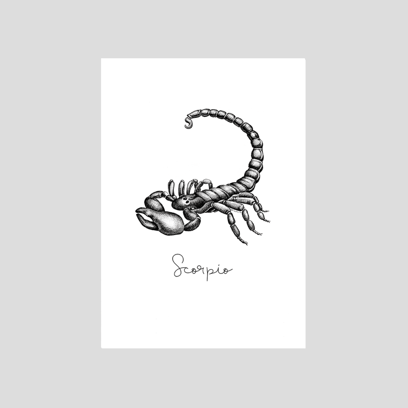 Scorpio - Fine art print