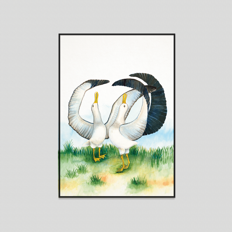 Albatross - Fine art print