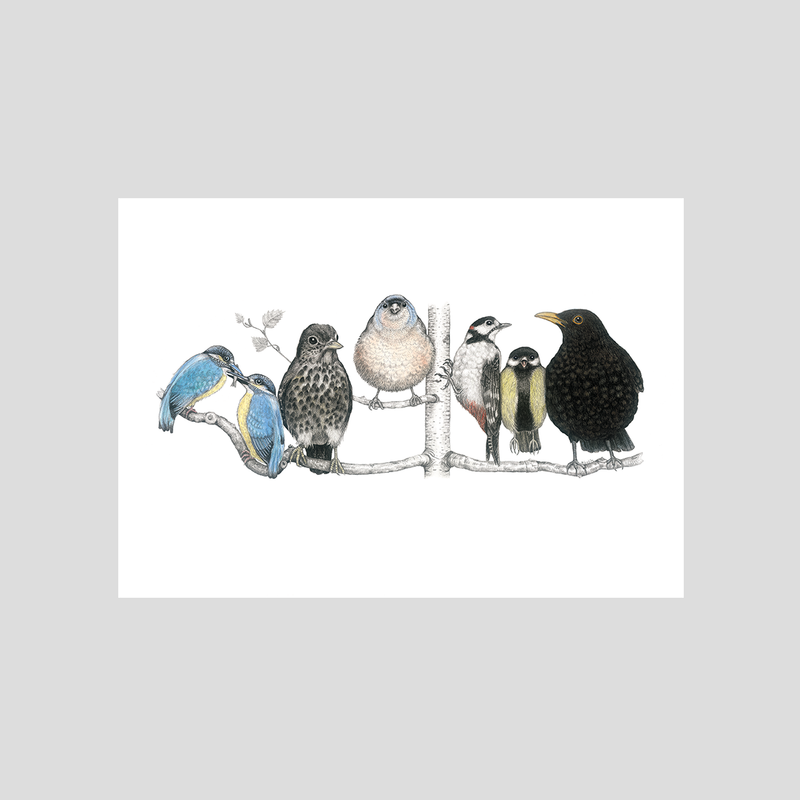 black bird, woodpecker, kingfisher art print