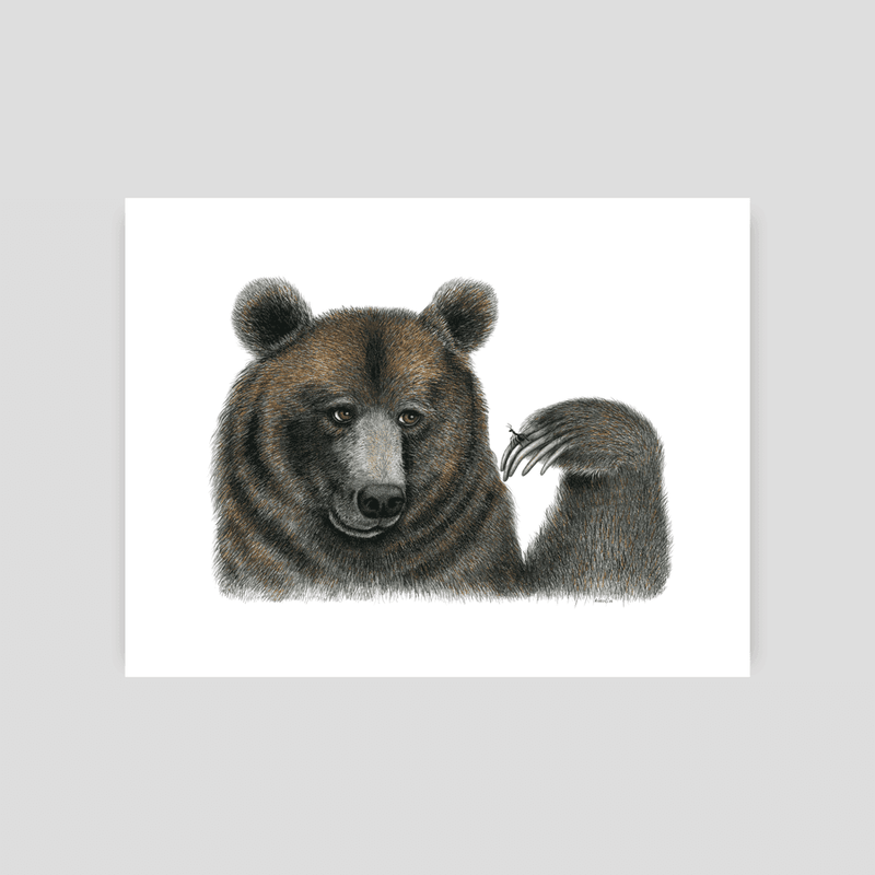 bear print