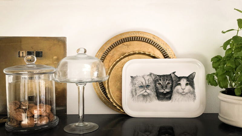 cats on wooden tray