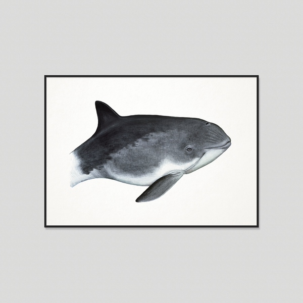 Nordic whale framed art print by Charlotte Nicolin