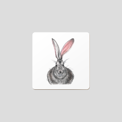 Hare or rabbit drawing on a white background. A coaster inspired by natures animals.