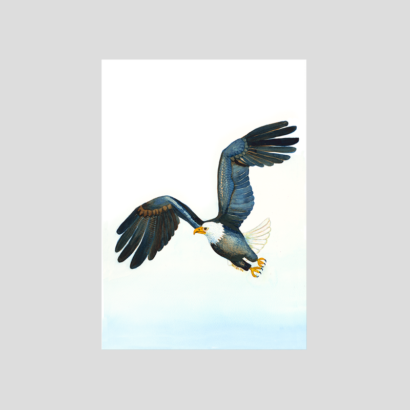 Flying eagle art print by Charlotte Nicolin