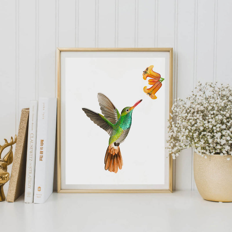 art print hummingbird