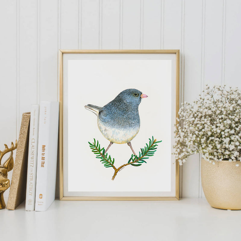 junco bird art print