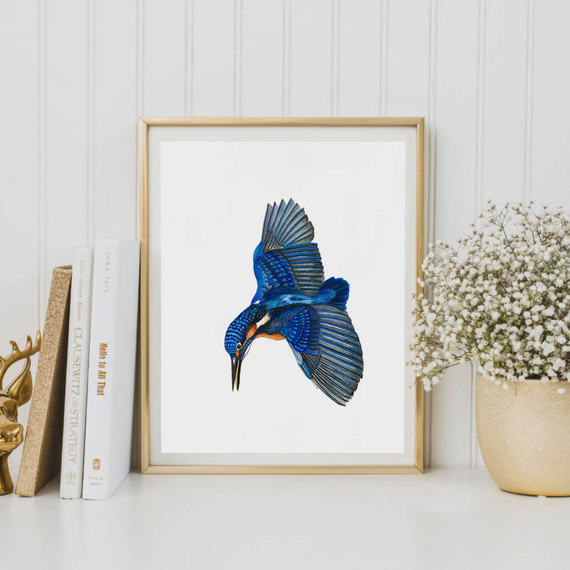 kingfisher bird art print
