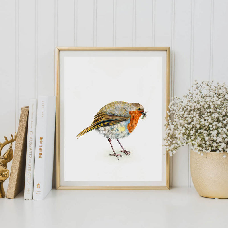 framed robin art print