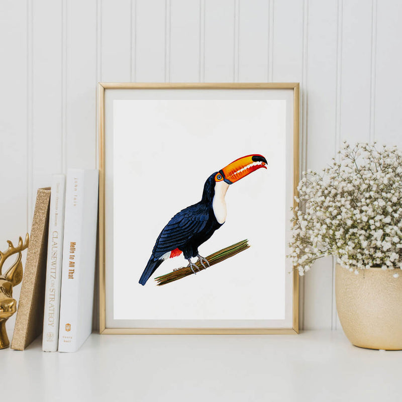tony the toucan bird art print