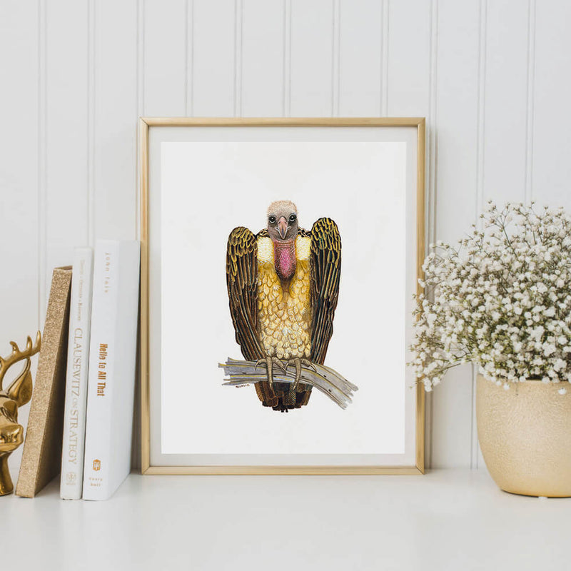 vulture bird art print