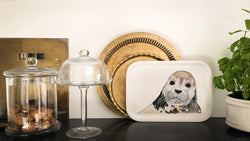 cute seal wooden tray
