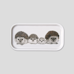 Henry's Family The Hedgehogs - Long Tray