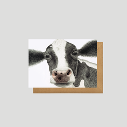 A black and white cow on postcard - by Charlotte Nicolin